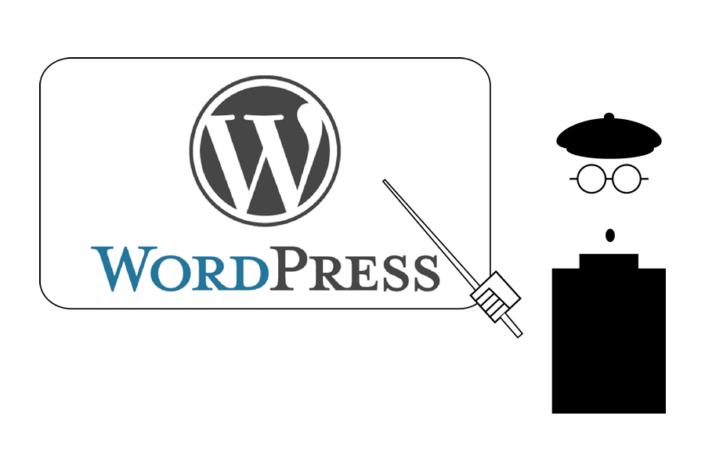 Webdesignguru-lesgeven-1-705x470 WordPress cursus