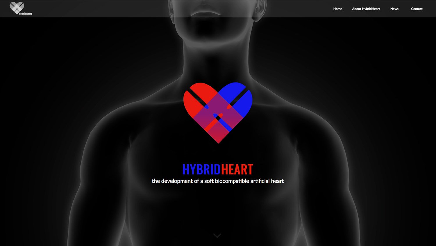 Hybrid Heart - Webdesign Woerden